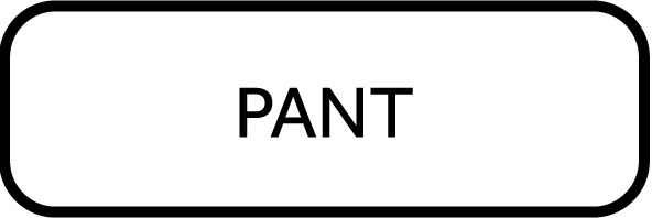 PANT 1